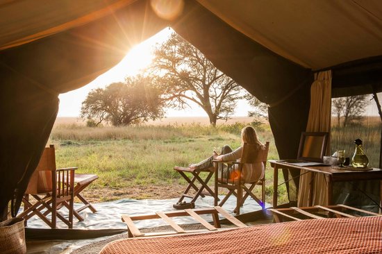 Serengeti Safari