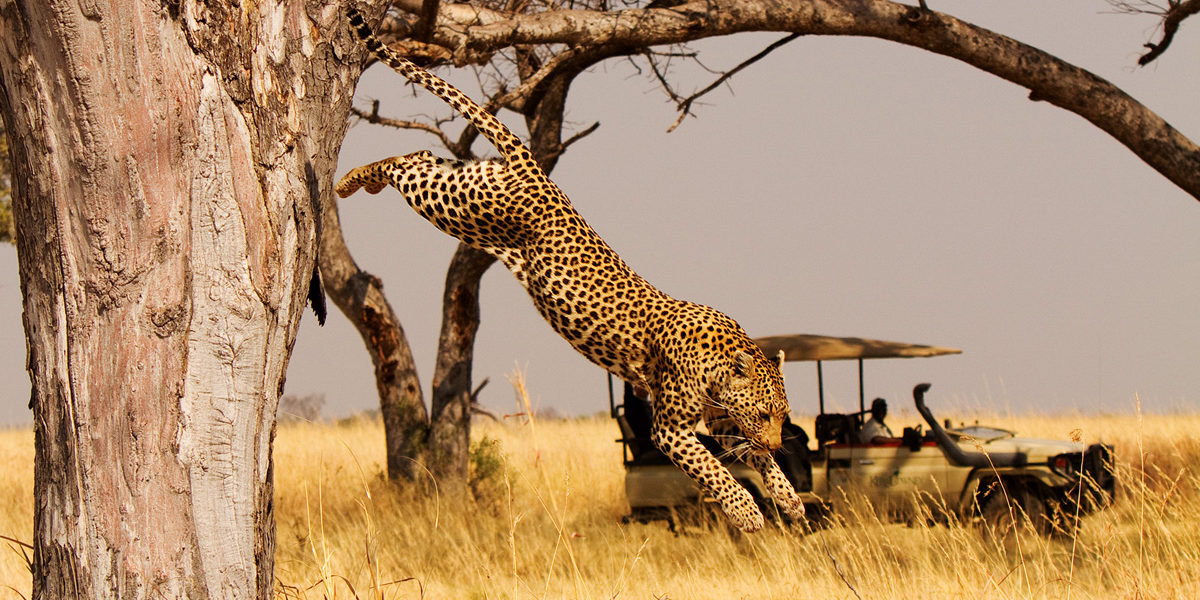 Akagera National Park Safari