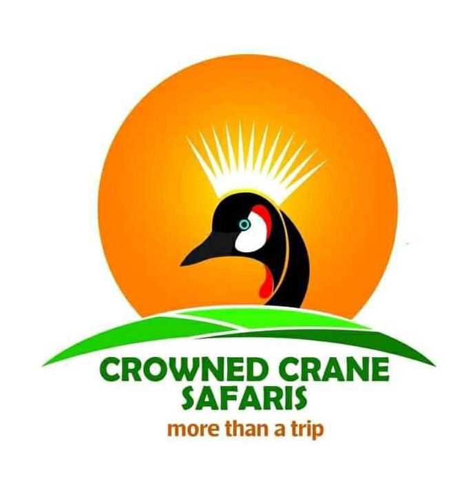 Crowned Crane Safaris