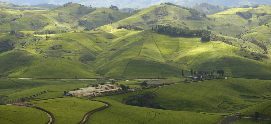 Rwanda safari landscape